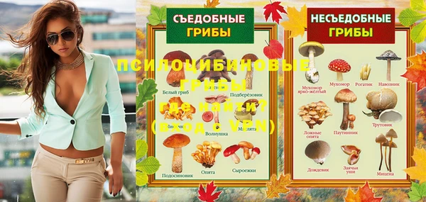 прущие крисы Алексеевка