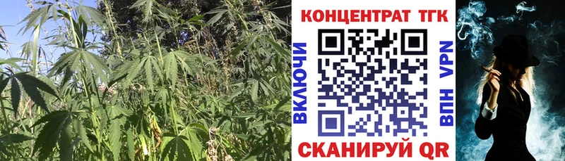 ТГК концентрат  MEGA ссылка  Лаишево 